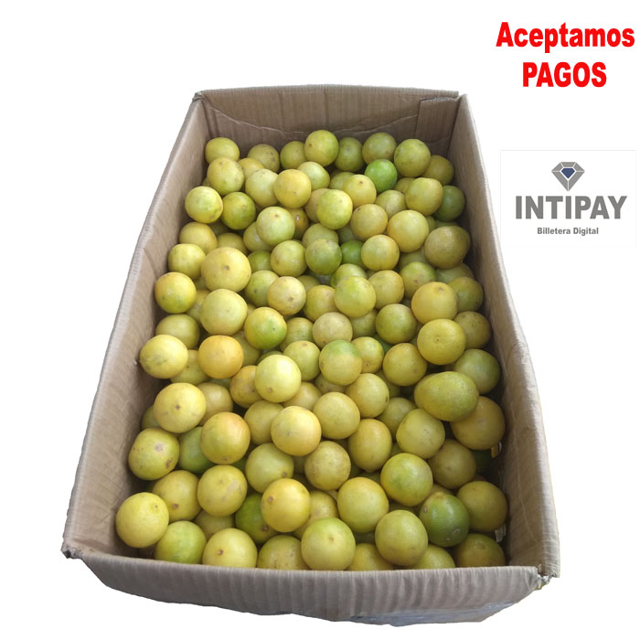 limon 20 Kilos
